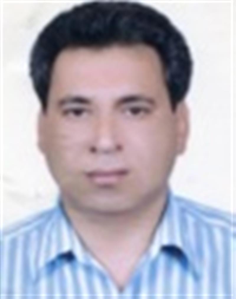 مهندس محمد رضا ساردویی 